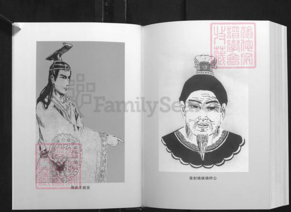 湖南省杨氏四知堂族谱-湖南杨氏通谱.pdf电子版插图5