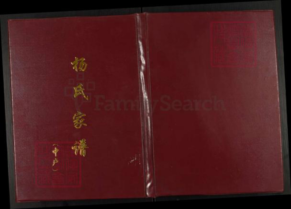 河南省南阳市镇平县晁陂镇杨氏族谱-杨氏家谱.pdf电子版