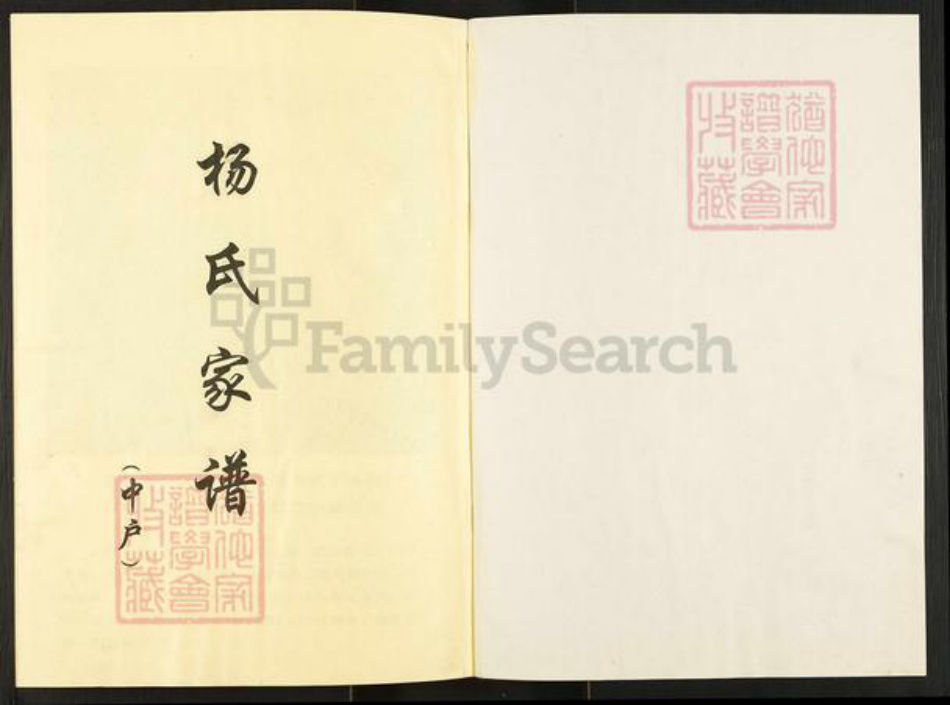 河南省南阳市镇平县晁陂镇杨氏族谱-杨氏家谱.pdf电子版插图1