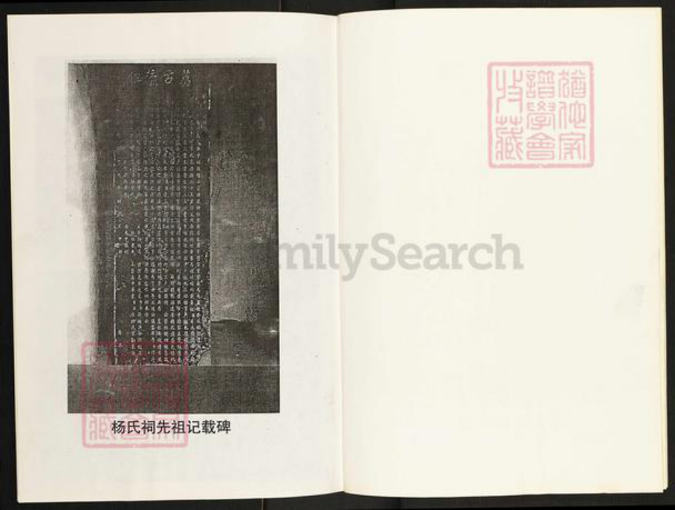 河南省南阳市镇平县晁陂镇杨氏族谱-杨氏家谱.pdf电子版插图4