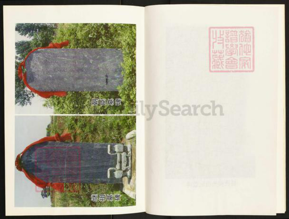 河南省南阳市镇平县晁陂镇杨氏族谱-杨氏家谱.pdf电子版插图5