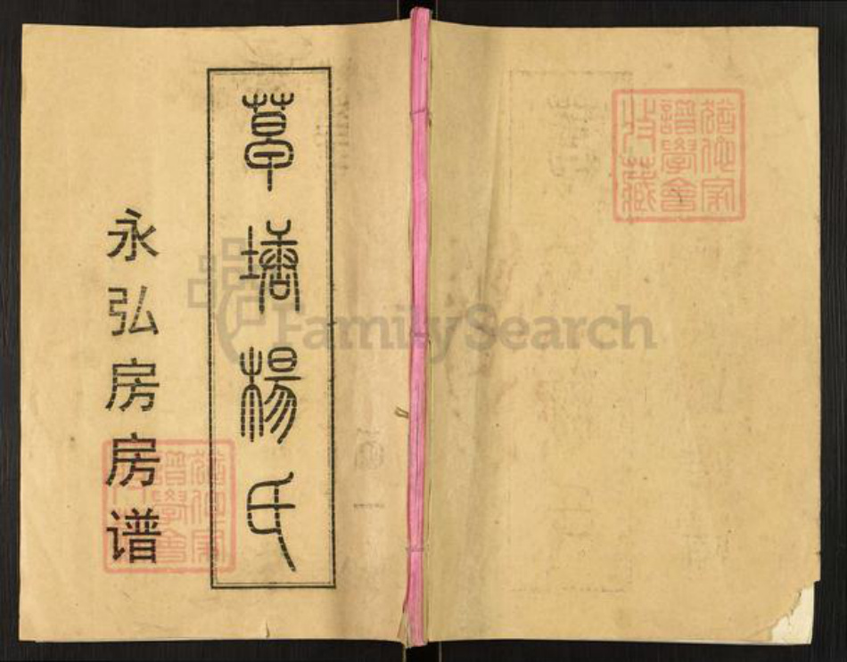 湖南省衡阳市祁东县河洲镇杨氏族谱-草塘杨氏.永弘房房谱.pdf电子版