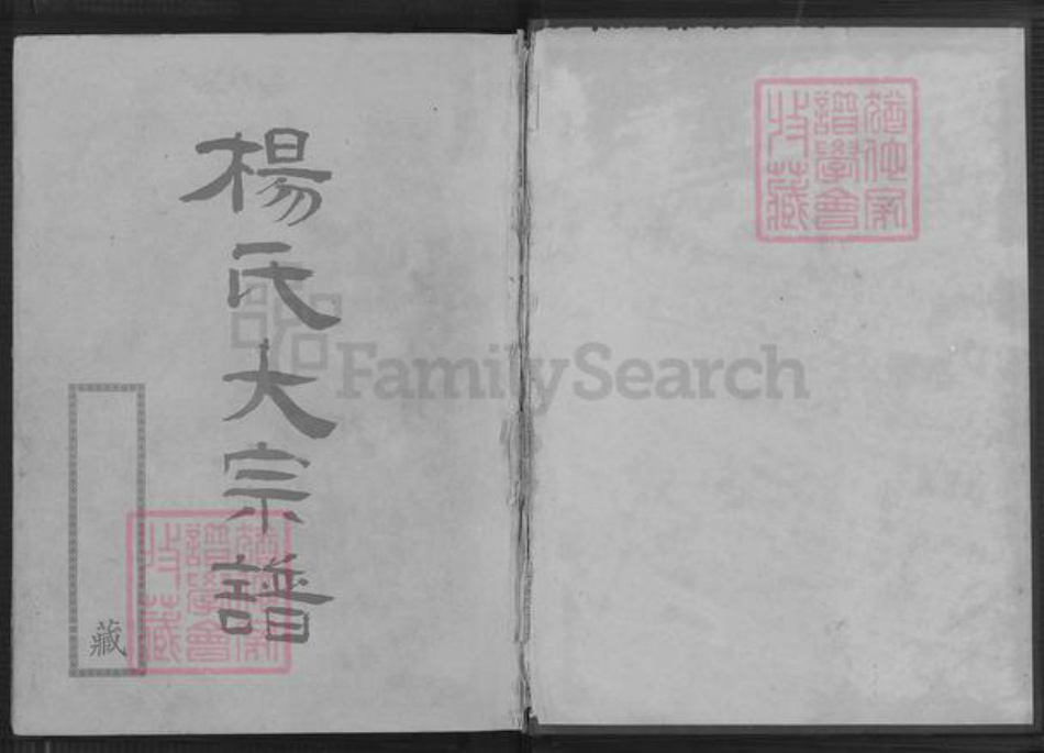 福建省莆田市仙游县园庄镇杨氏关西堂族谱-杨氏大宗谱.pdf电子版插图1