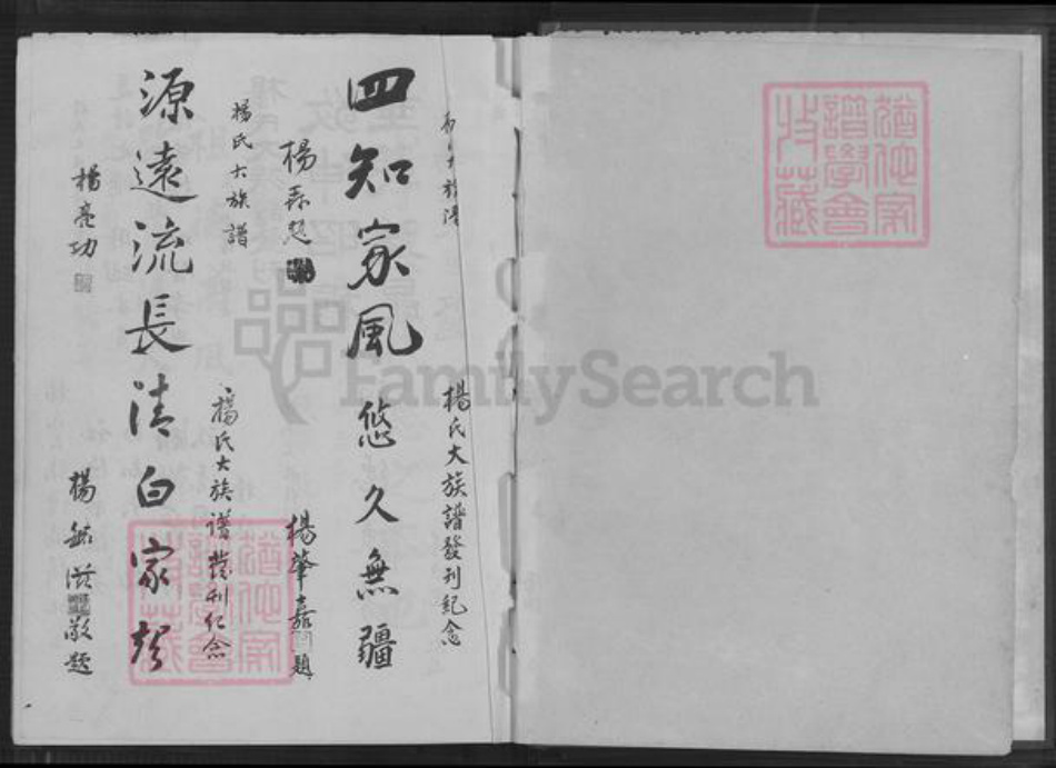 福建省莆田市仙游县园庄镇杨氏关西堂族谱-杨氏大宗谱.pdf电子版插图2