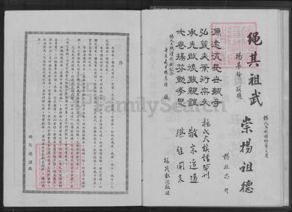 福建省莆田市仙游县园庄镇杨氏关西堂族谱-杨氏大宗谱.pdf电子版插图4