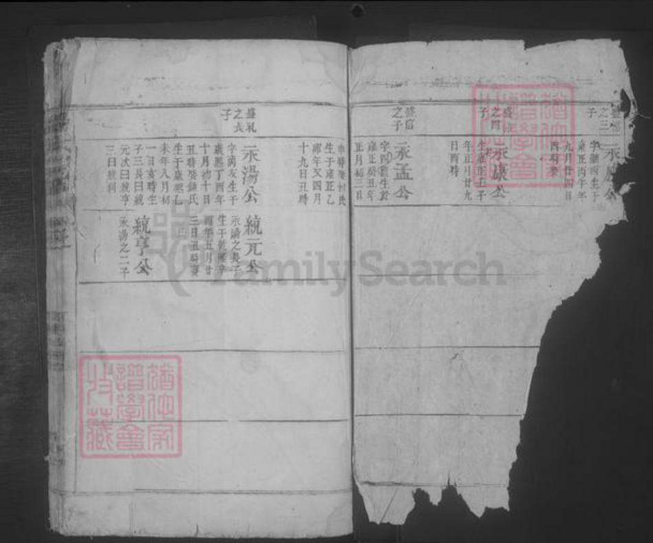 江西省九江市都昌县杨氏族谱-杨氏宗谱 [残卷].pdf电子版插图2