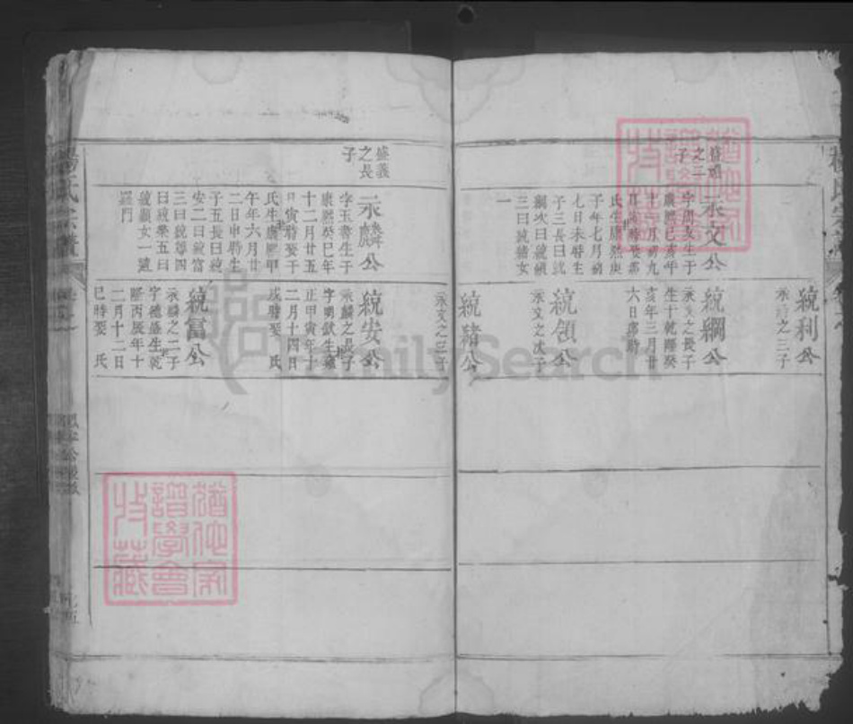 江西省九江市都昌县杨氏族谱-杨氏宗谱 [残卷].pdf电子版插图3