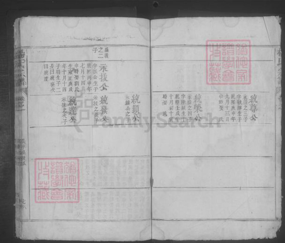 江西省九江市都昌县杨氏族谱-杨氏宗谱 [残卷].pdf电子版插图4