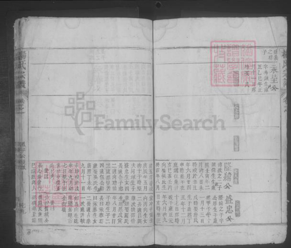 江西省九江市都昌县杨氏族谱-杨氏宗谱 [残卷].pdf电子版插图5