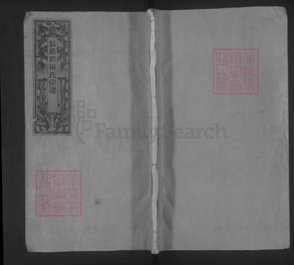 浙江省温州市平阳县杨氏族谱-杨氏宗谱 [不分卷].pdf电子版