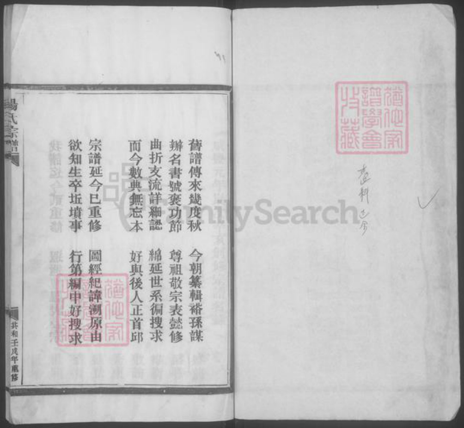 浙江省温州市平阳县杨氏族谱-杨氏宗谱 [不分卷].pdf电子版插图2