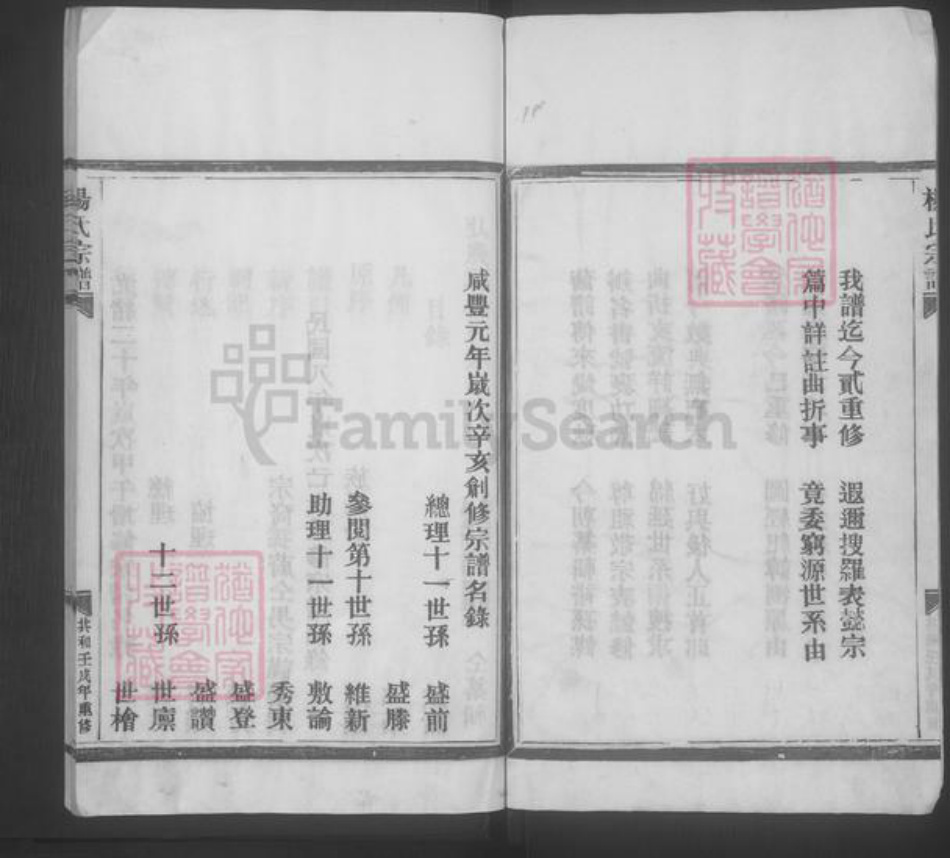 浙江省温州市平阳县杨氏族谱-杨氏宗谱 [不分卷].pdf电子版插图3