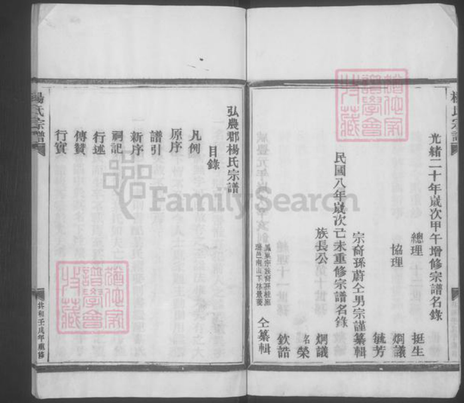 浙江省温州市平阳县杨氏族谱-杨氏宗谱 [不分卷].pdf电子版插图4