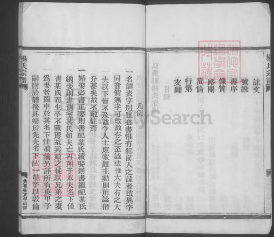 浙江省温州市平阳县杨氏族谱-杨氏宗谱 [不分卷].pdf电子版插图5