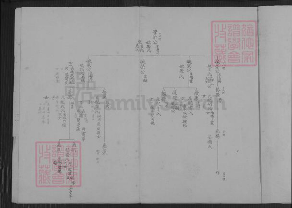 江苏省连云港市海洲区杨氏族谱-海州杨氏小宗世系表.pdf电子版插图3 江苏省连云港市海洲区杨氏族谱-海州杨氏小宗世系表.pdf电子版插图3