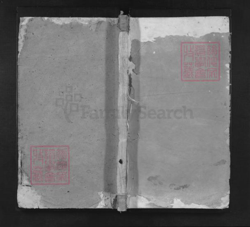 江西省宜春市袁州区杨氏闗西堂族谱-洖溪杨氏族谱.pdf电子版