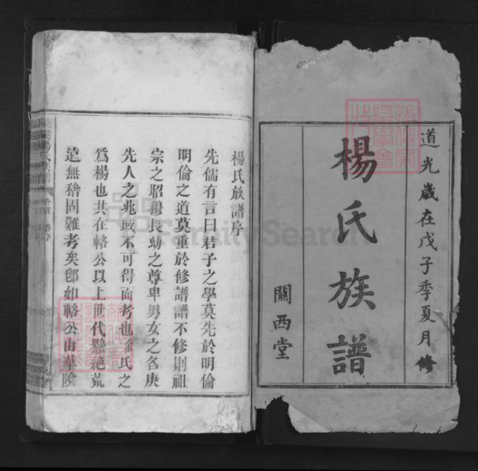 江西省宜春市袁州区杨氏闗西堂族谱-洖溪杨氏族谱.pdf电子版插图1