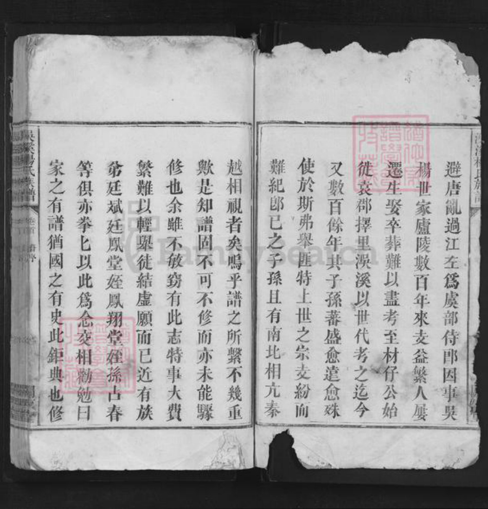 江西省宜春市袁州区杨氏闗西堂族谱-洖溪杨氏族谱.pdf电子版插图2