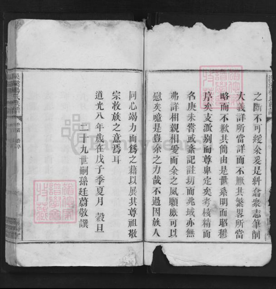 江西省宜春市袁州区杨氏闗西堂族谱-洖溪杨氏族谱.pdf电子版插图3