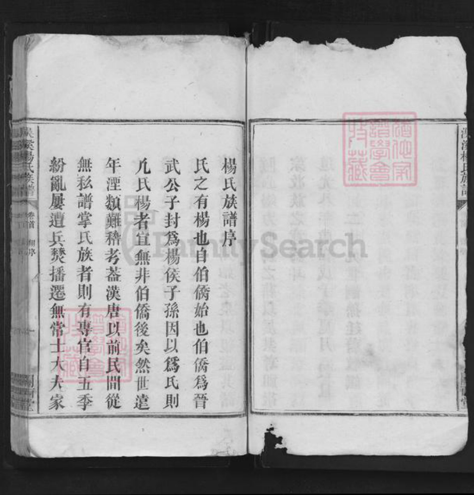 江西省宜春市袁州区杨氏闗西堂族谱-洖溪杨氏族谱.pdf电子版插图4