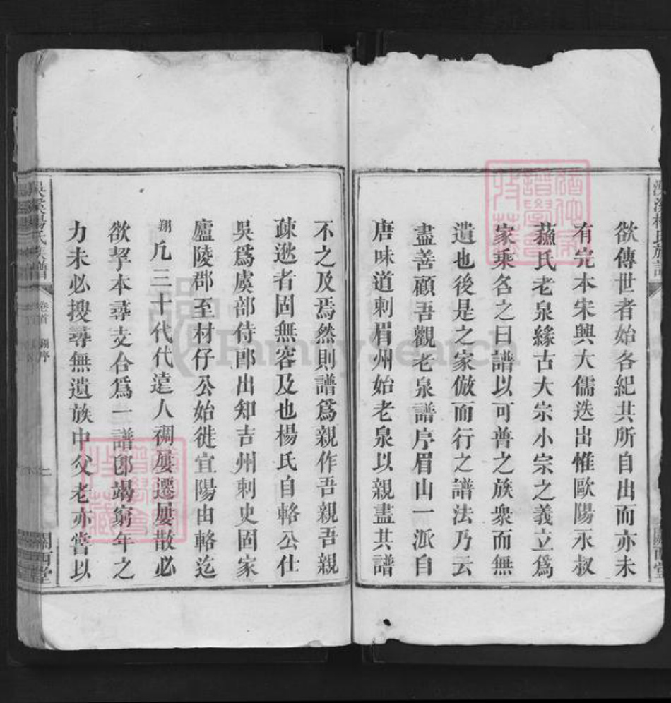 江西省宜春市袁州区杨氏闗西堂族谱-洖溪杨氏族谱.pdf电子版插图5