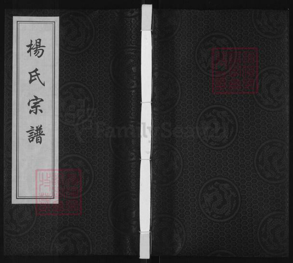 江苏省盐城市阜宁县杨氏四知堂族谱-杨氏宗谱.pdf电子版