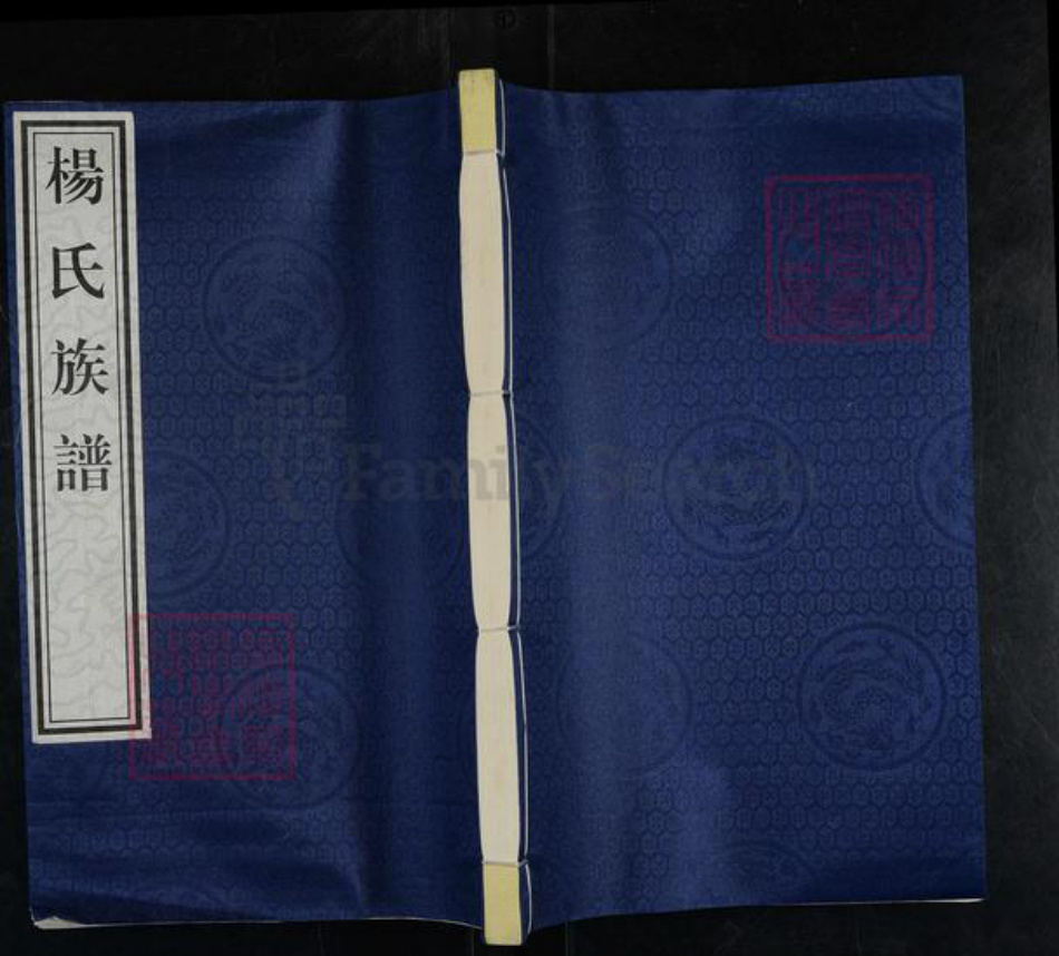 山东省泰安市新泰市汶南镇杨氏族谱-杨氏族谱.pdf电子版