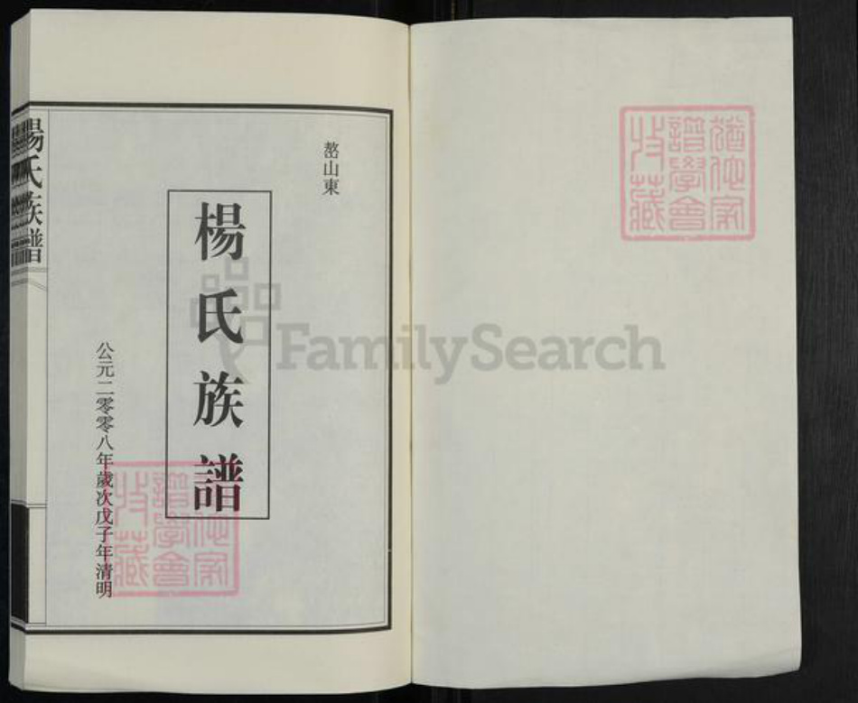 山东省泰安市新泰市汶南镇杨氏族谱-杨氏族谱.pdf电子版插图1 山东省泰安市新泰市汶南镇杨氏族谱-杨氏族谱.pdf电子版插图1