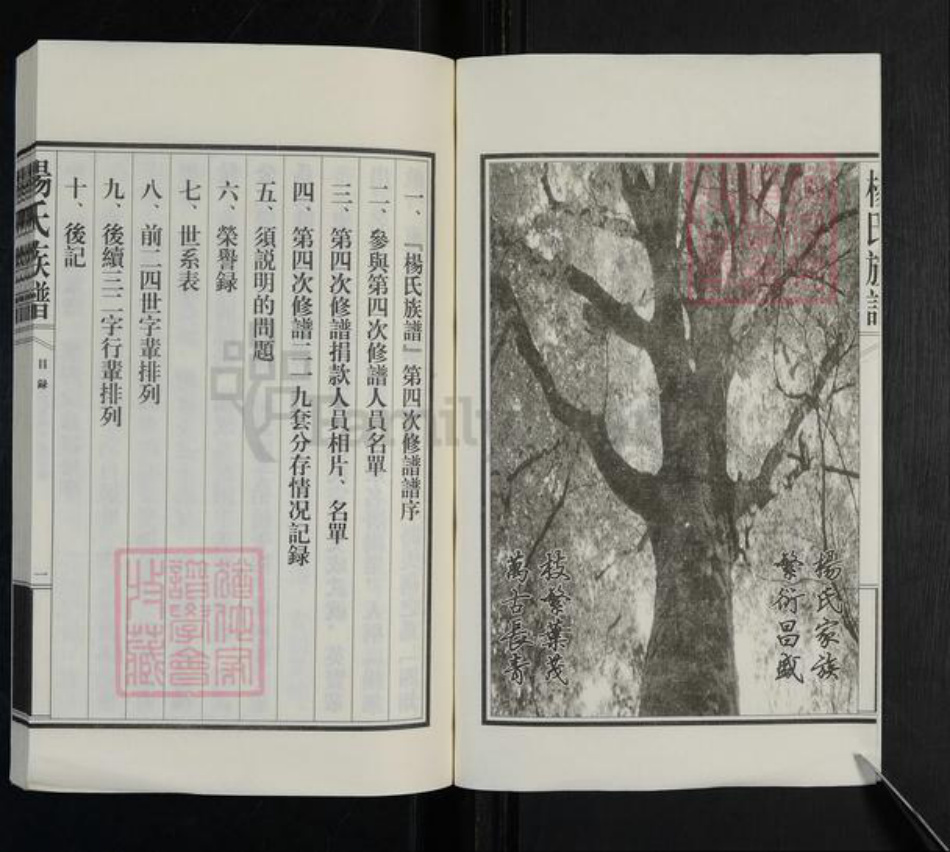 山东省泰安市新泰市汶南镇杨氏族谱-杨氏族谱.pdf电子版插图2 山东省泰安市新泰市汶南镇杨氏族谱-杨氏族谱.pdf电子版插图2