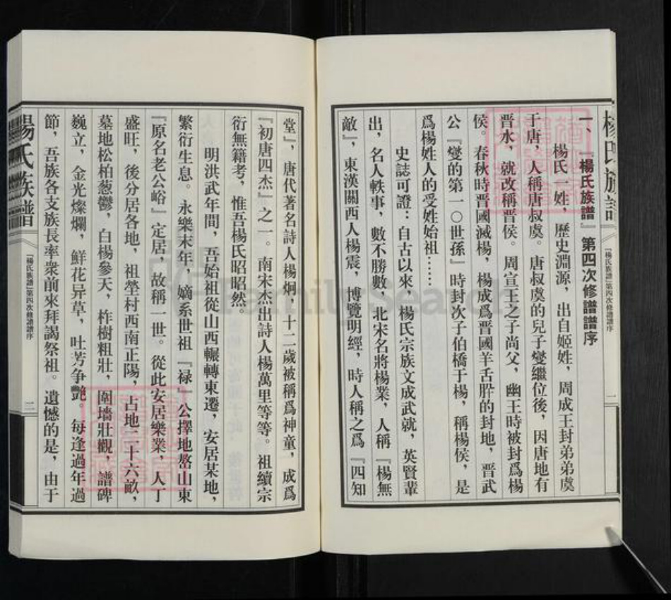 山东省泰安市新泰市汶南镇杨氏族谱-杨氏族谱.pdf电子版插图3 山东省泰安市新泰市汶南镇杨氏族谱-杨氏族谱.pdf电子版插图3