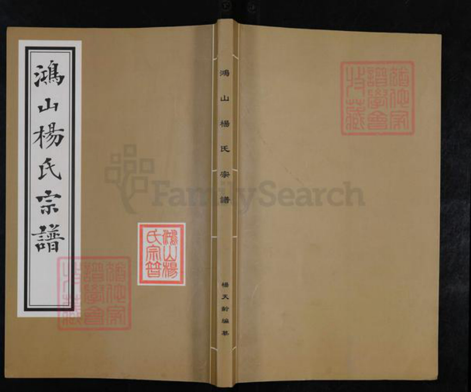 江苏省无锡市梁溪区杨氏崇兰堂族谱-鸿山杨氏宗谱.pdf电子版