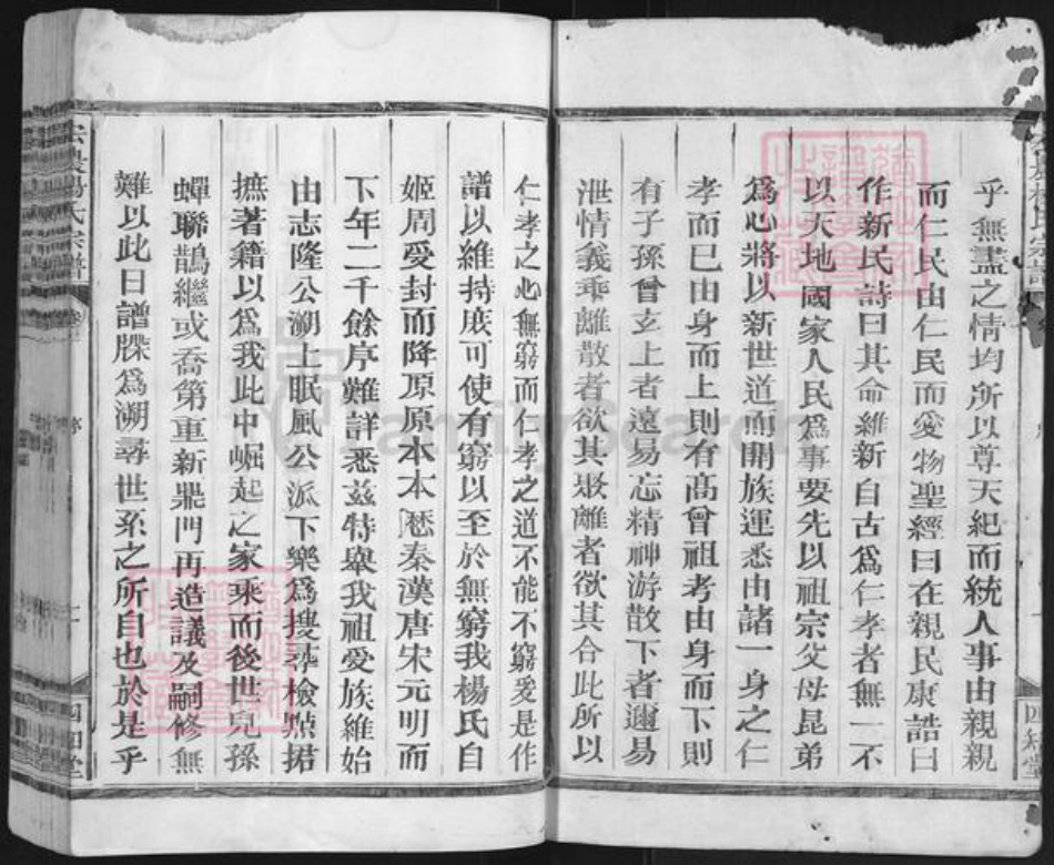 江西省上饶市广丰区横山镇杨氏四知堂族谱-杨氏宗谱.pdf电子版插图2