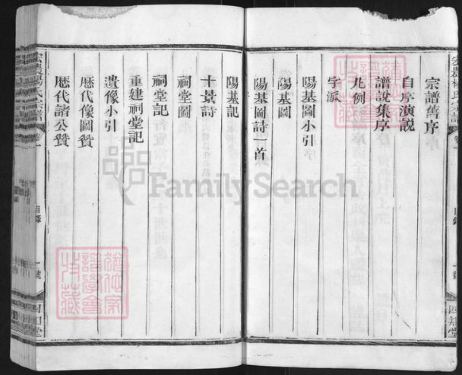 江西省上饶市广丰区横山镇杨氏四知堂族谱-杨氏宗谱.pdf电子版插图4