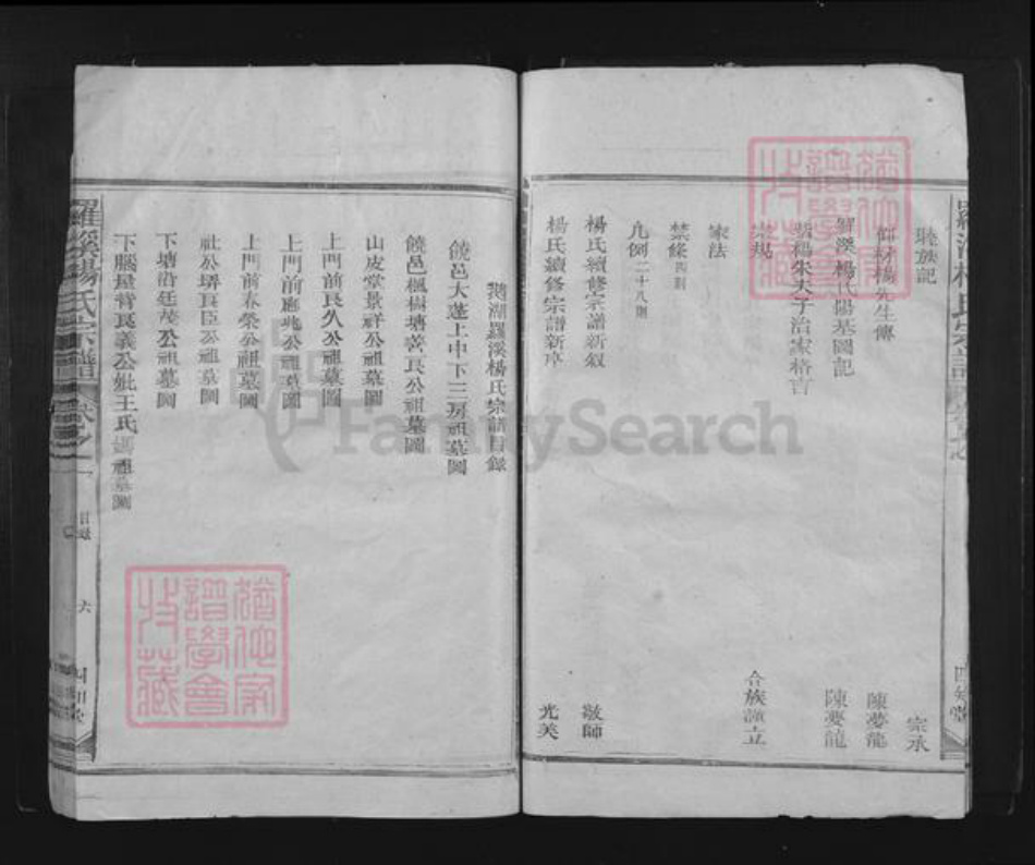 江西省上饶市铅山县鹅湖镇杨氏四知堂族谱-罗溪杨氏宗谱.pdf电子版插图3