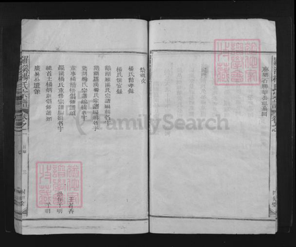 江西省上饶市铅山县鹅湖镇杨氏四知堂族谱-罗溪杨氏宗谱.pdf电子版插图4