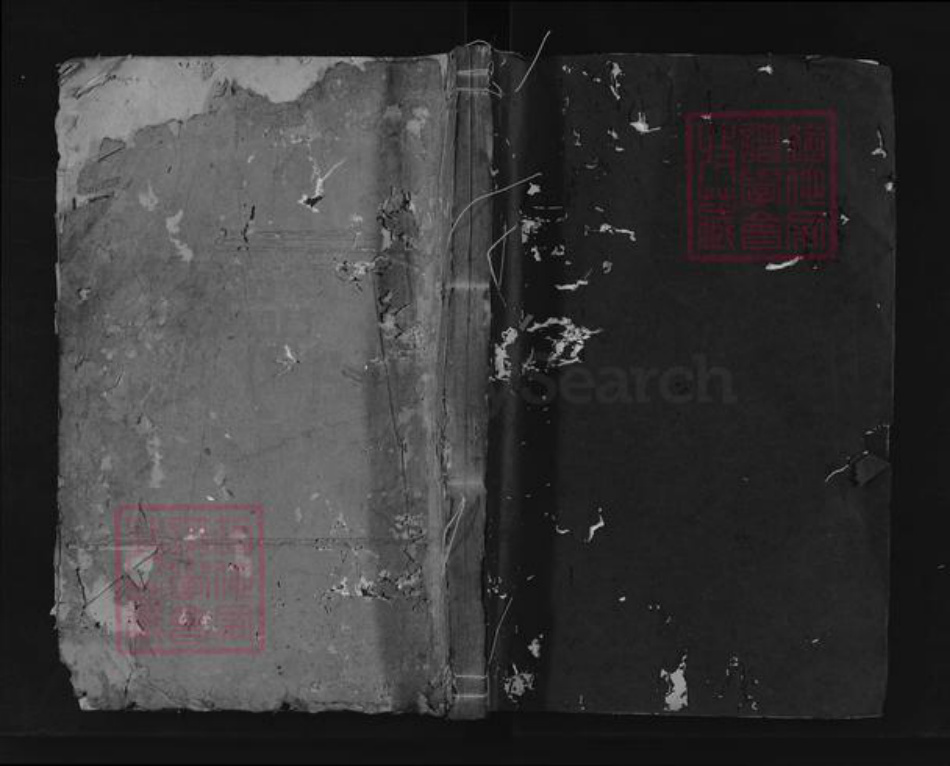 浙江省绍兴新昌县杨氏族谱-彩烟杨氏思存祠宗谱.pdf电子版