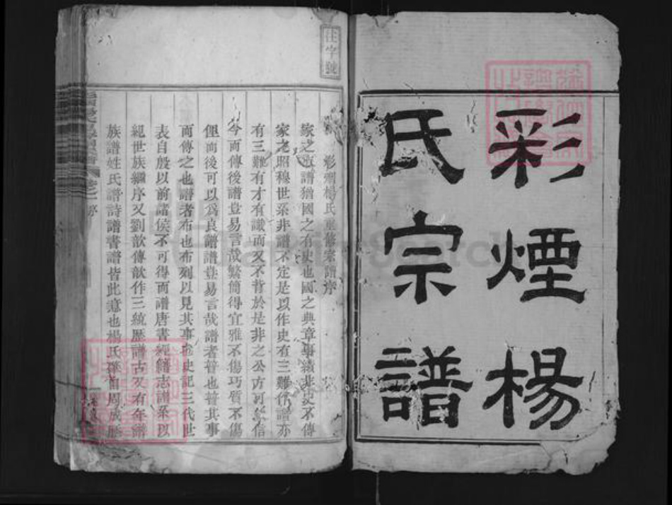 浙江省绍兴新昌县杨氏族谱-彩烟杨氏思存祠宗谱.pdf电子版插图1