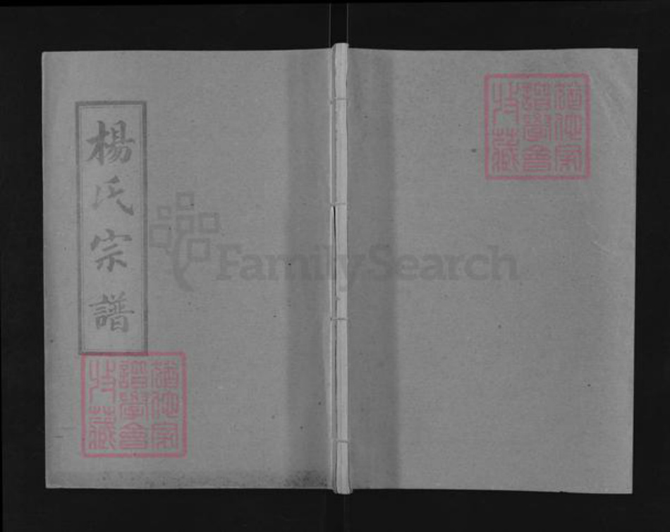 湖北省天门市竟陵街道杨氏三鳣堂族谱-杨氏宗谱.pdf电子版