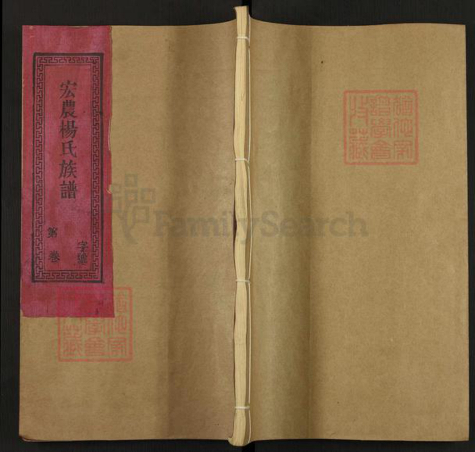 福建省三明市宁化县中沙乡杨氏族谱-宏农杨氏族谱.pdf电子版