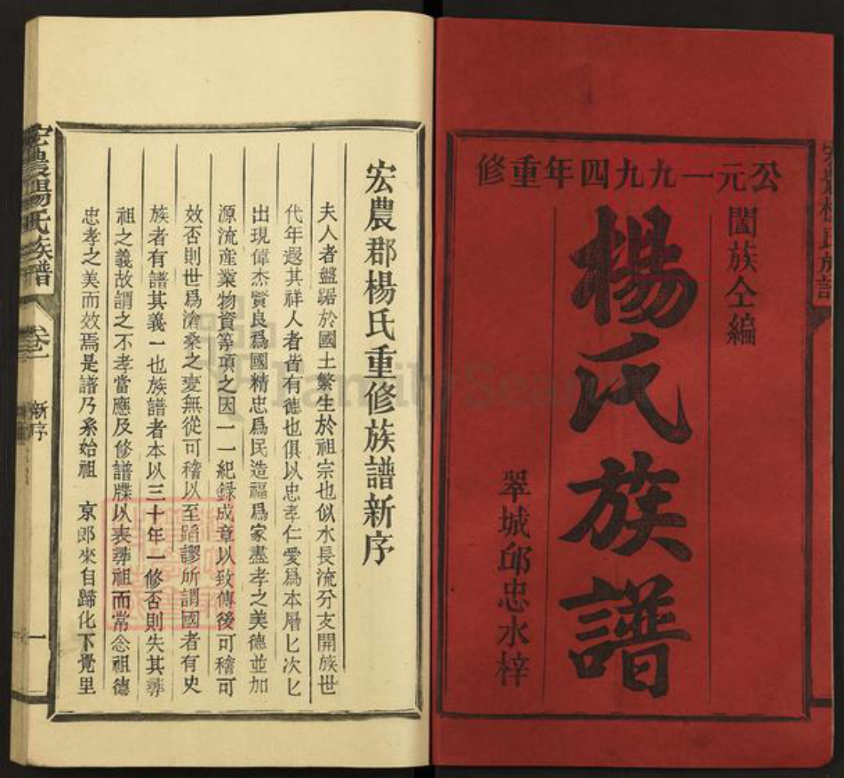 福建省三明市宁化县中沙乡杨氏族谱-宏农杨氏族谱.pdf电子版插图1