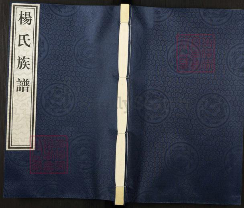 山东省泰安市新泰市汶南镇杨氏族谱-杨氏族谱.pdf电子版