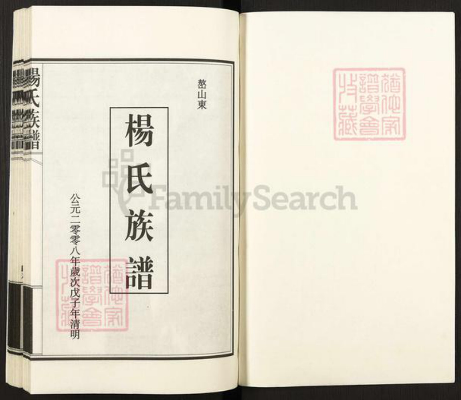 山东省泰安市新泰市汶南镇杨氏族谱-杨氏族谱.pdf电子版插图1