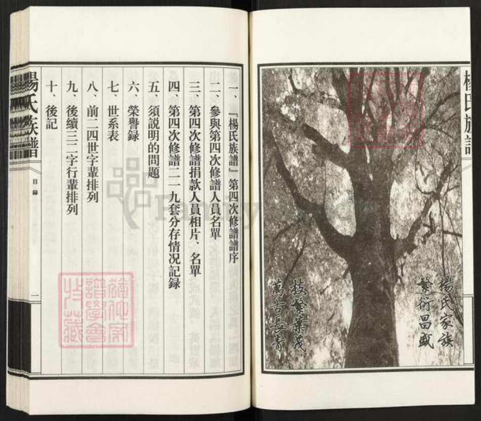 山东省泰安市新泰市汶南镇杨氏族谱-杨氏族谱.pdf电子版插图2