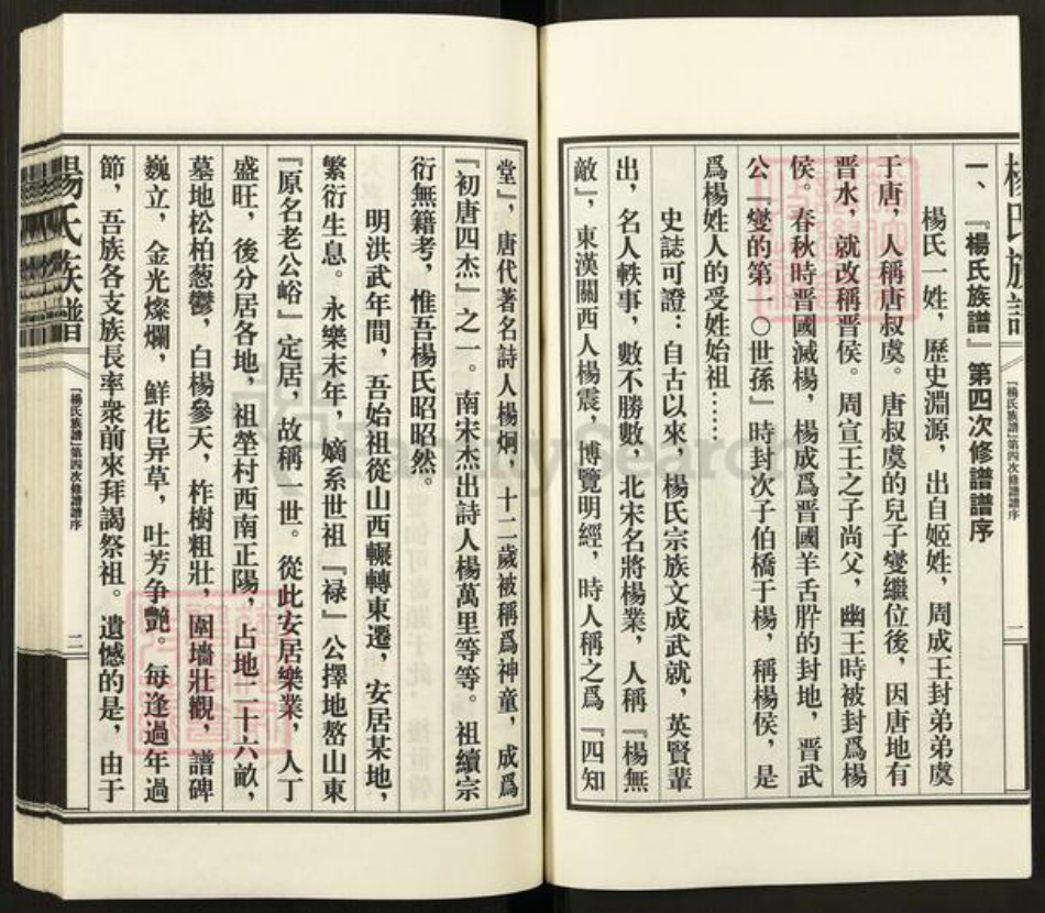 山东省泰安市新泰市汶南镇杨氏族谱-杨氏族谱.pdf电子版插图3
