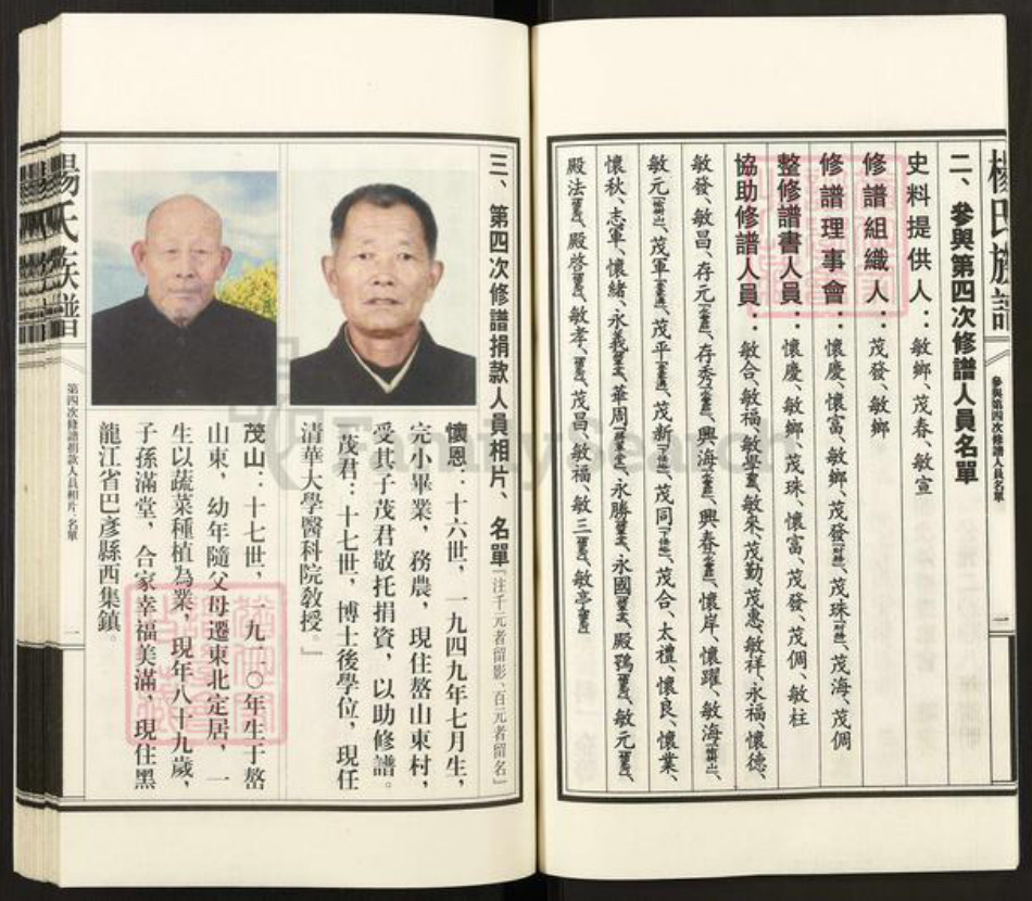 山东省泰安市新泰市汶南镇杨氏族谱-杨氏族谱.pdf电子版插图5