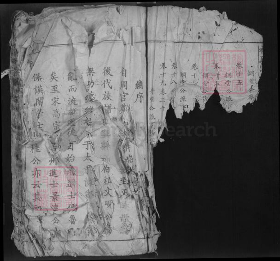 湖北省鄂州市鄂城区杨氏四知堂族谱-杨氏宗谱.pdf电子版插图1