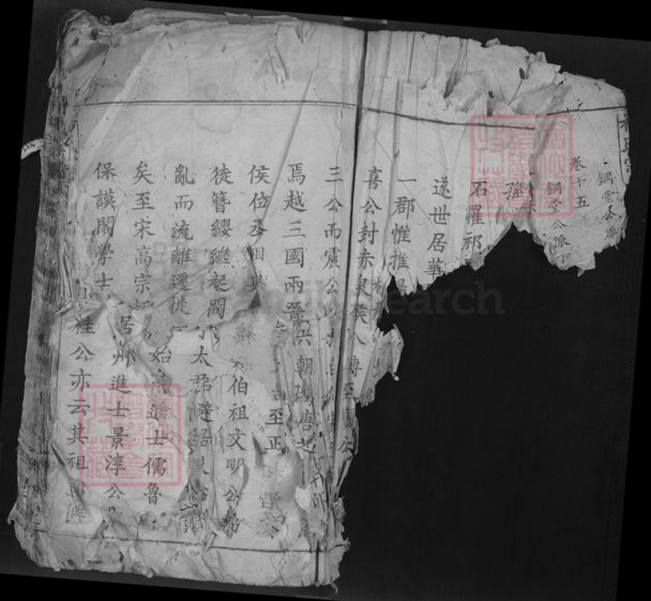 湖北省鄂州市鄂城区杨氏四知堂族谱-杨氏宗谱.pdf电子版插图2