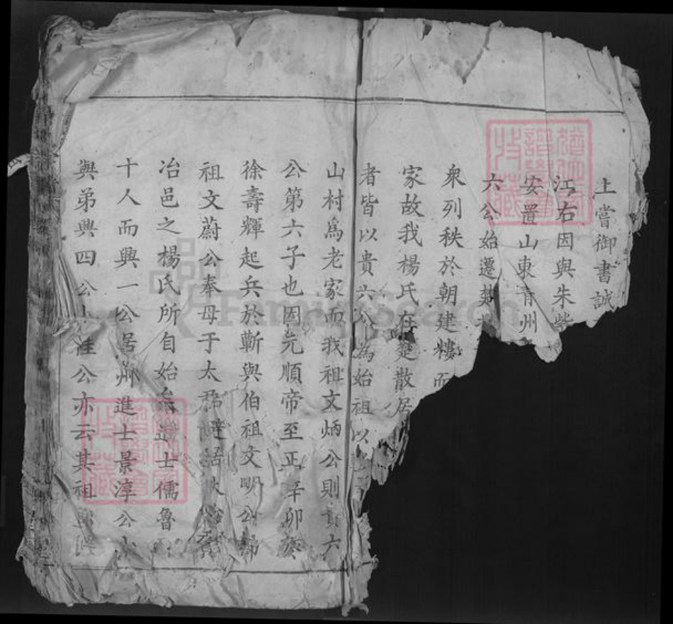 湖北省鄂州市鄂城区杨氏四知堂族谱-杨氏宗谱.pdf电子版插图3