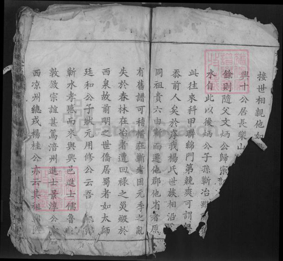 湖北省鄂州市鄂城区杨氏四知堂族谱-杨氏宗谱.pdf电子版插图4