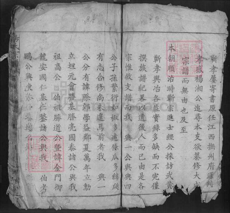 湖北省鄂州市鄂城区杨氏四知堂族谱-杨氏宗谱.pdf电子版插图5